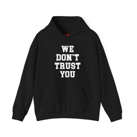 ONLINE EXCLUSIVE | WDTY Jumbo Letters Hoodie | We Trust You Tour Merch