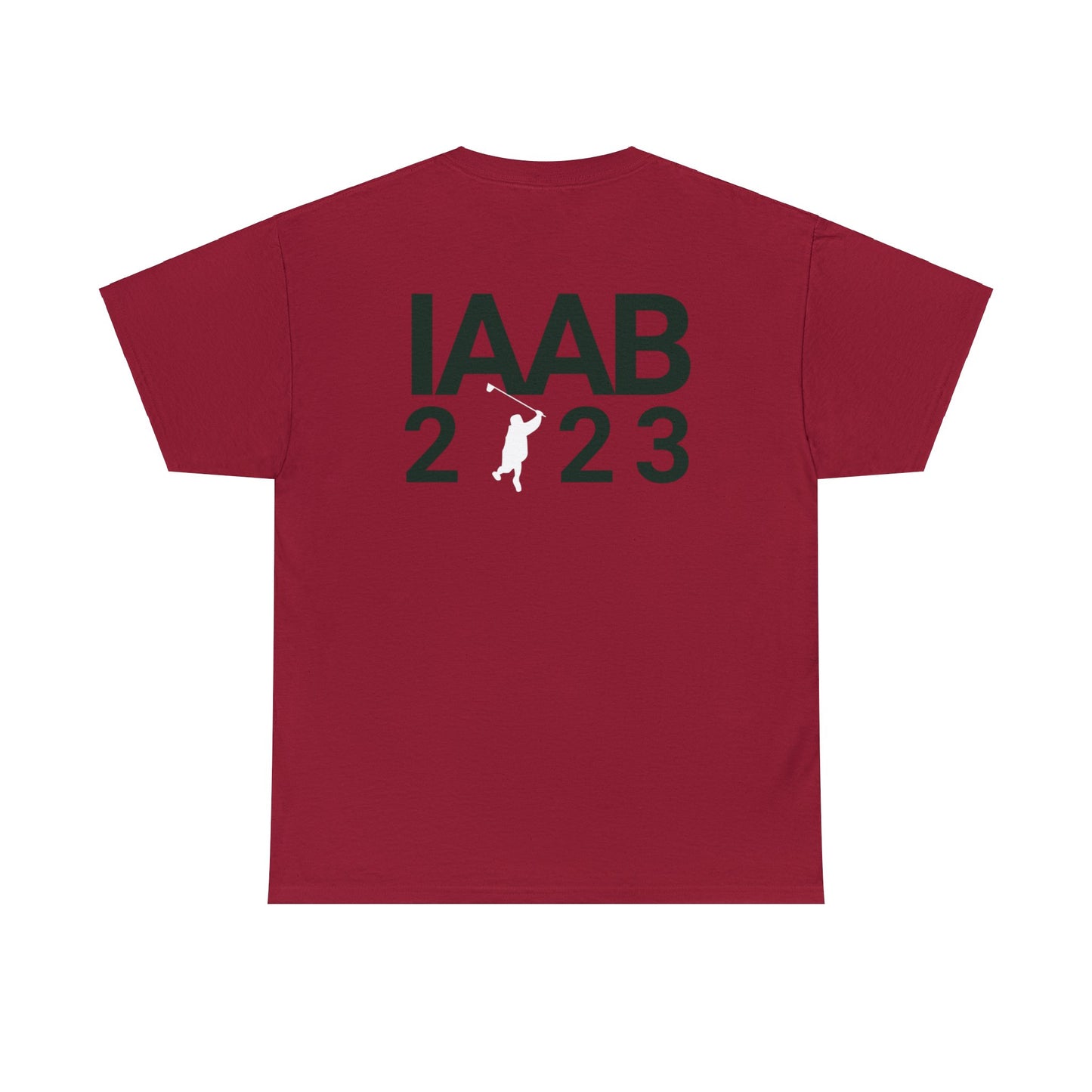 IAAB 2023-2024 Tour | I Like What Drake Likes T-Shirt | 5 Colors - Heavy Cotton Quality