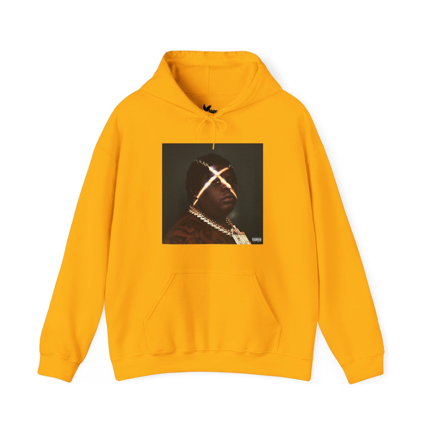 ONLINE EXCLUSIVE | BigXthaplug Take Care Album Cover Hoodie | Take Care Tour Merch