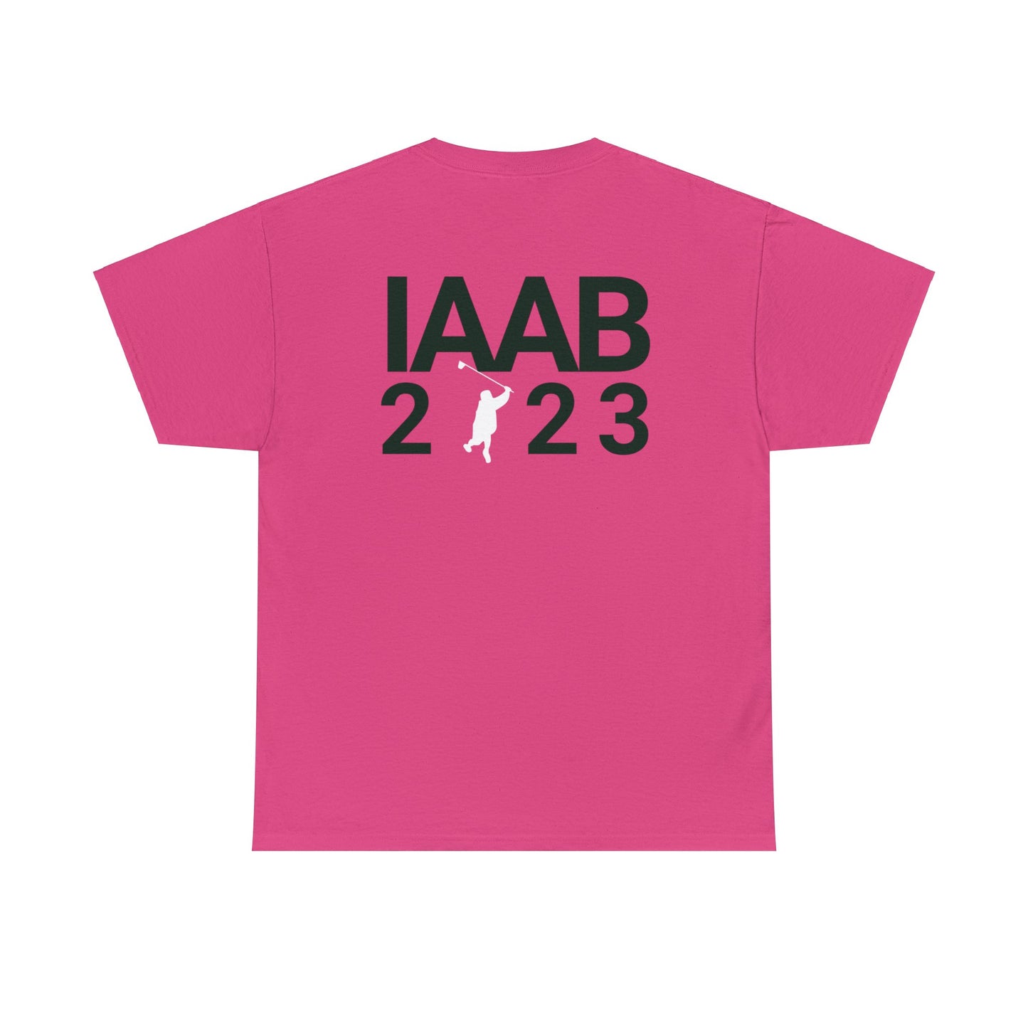 IAAB 2023-2024 Tour | I Like What Drake Likes T-Shirt | 5 Colors - Heavy Cotton Quality