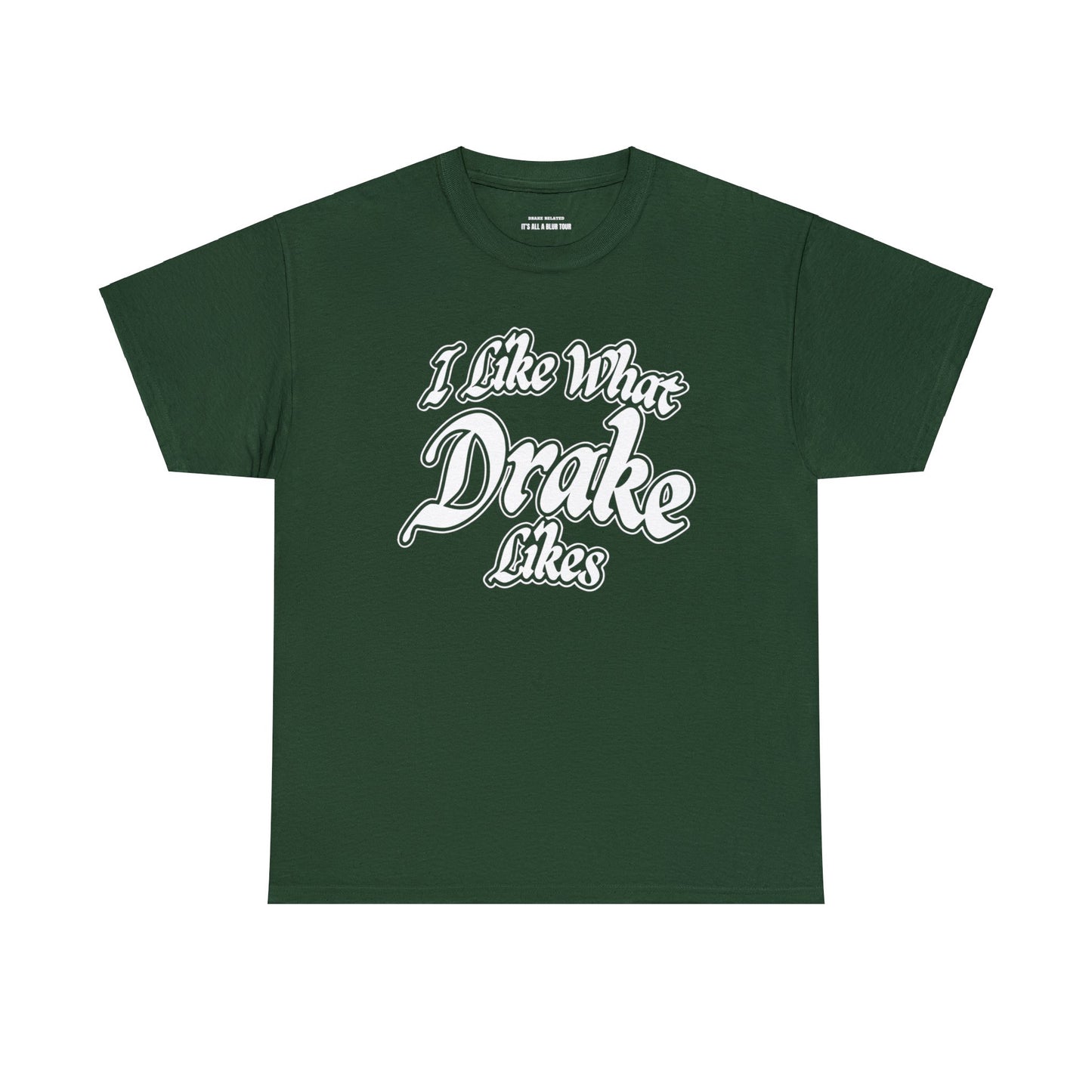 IAAB 2023-2024 Tour | I Like What Drake Likes T-Shirt | 5 Colors - Heavy Cotton Quality