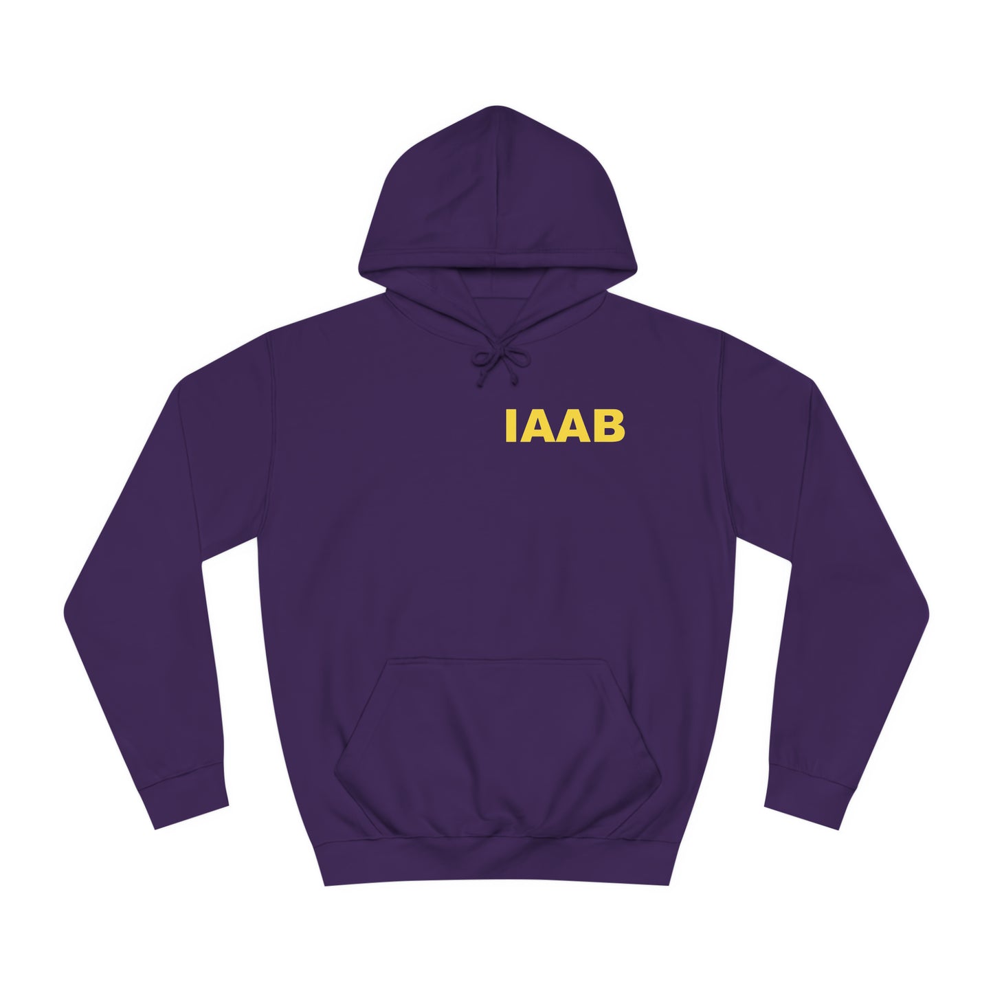 IAAB Tour Merch | Paid For By Drake And Company IAAB Hoodie | 6 Colors