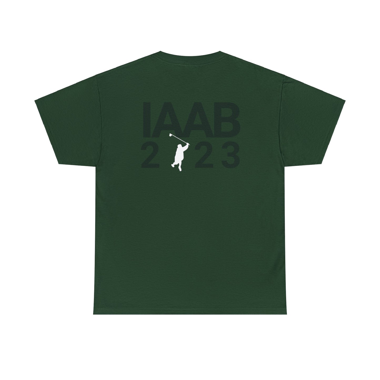 IAAB 2023-2024 Tour | I Like What Drake Likes T-Shirt | 5 Colors - Heavy Cotton Quality